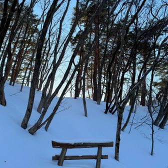 鳥海山・七高山・笙ヶ岳 神社まで戻ってきた⛩