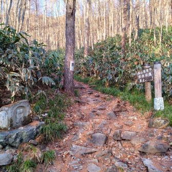 平元新道登山口