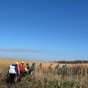 カラフル🔴🟡🔵