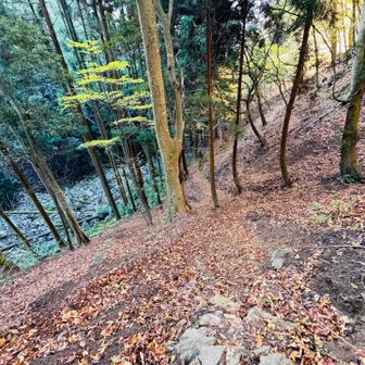 ゆっくりでも滑るから気をつけてね！