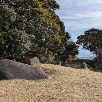 こんな感じの鷹取山