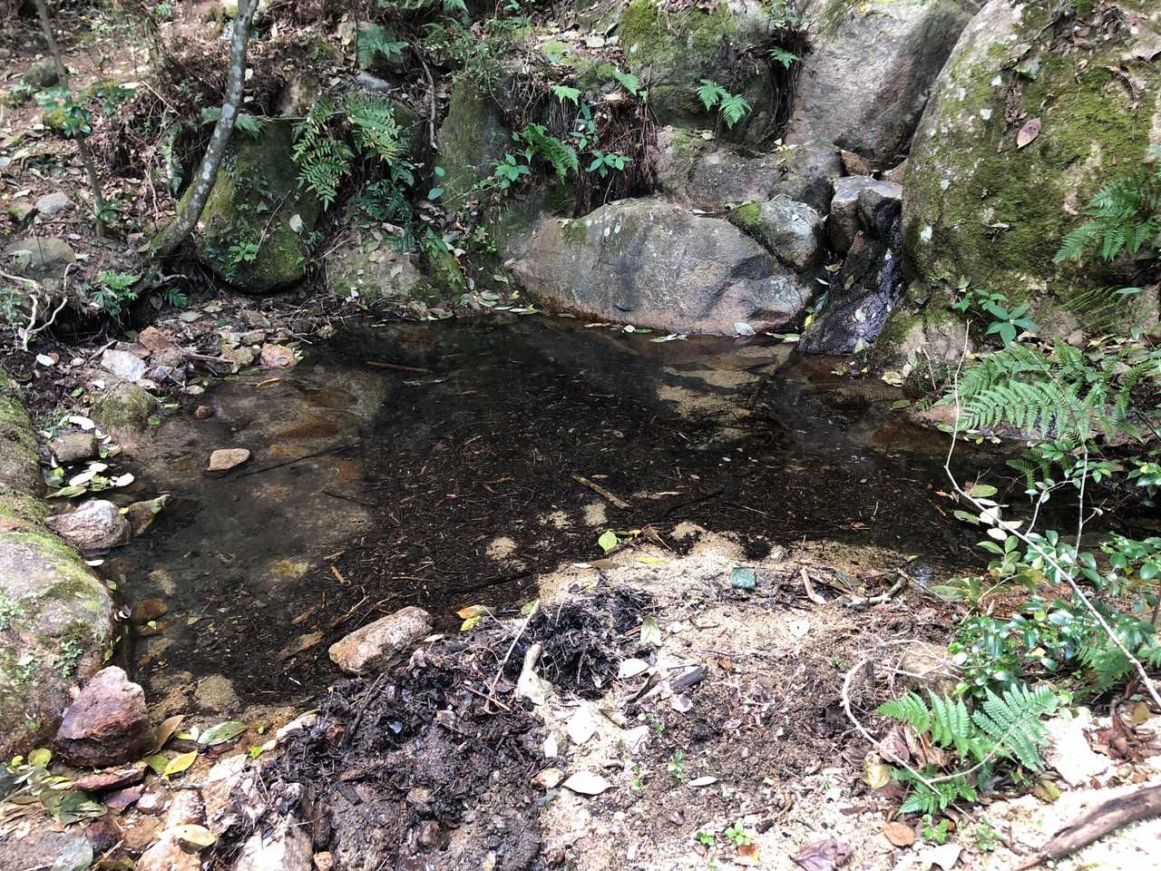池を渡る、、