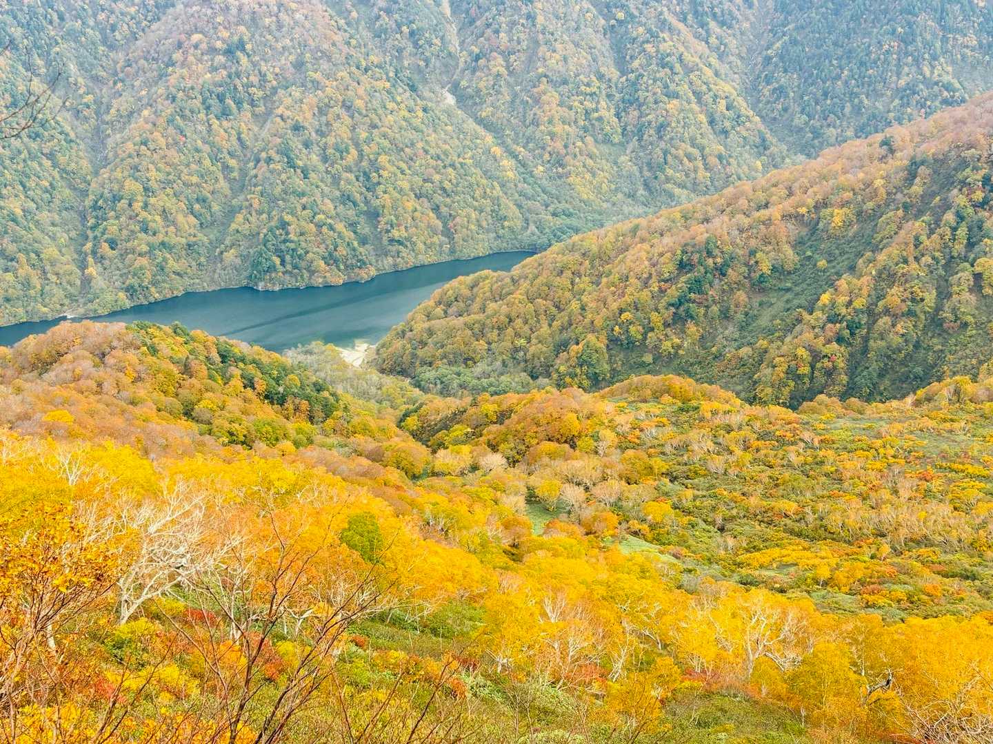 平瀬道登山口-室堂センター-白山 往復コースの写真