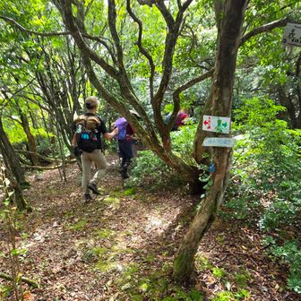 再び表山を通過します。