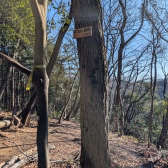 下山中のピーク２