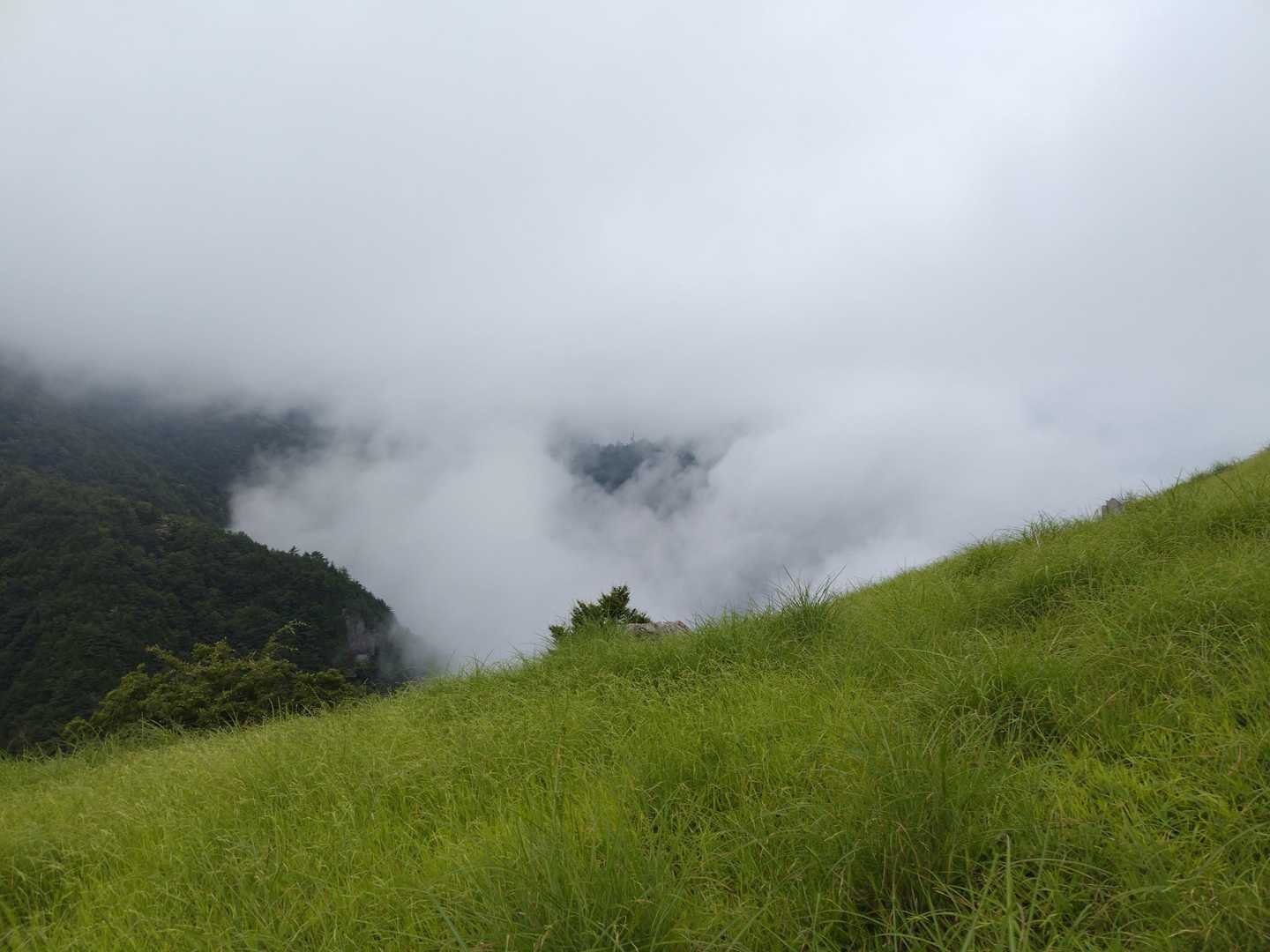 細尾山 周回コースの写真