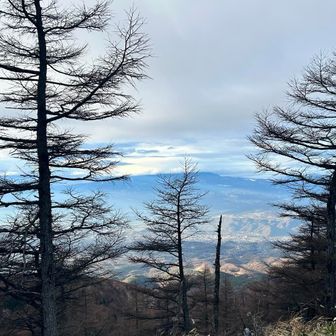 今日の八ヶ岳は雲の中です。