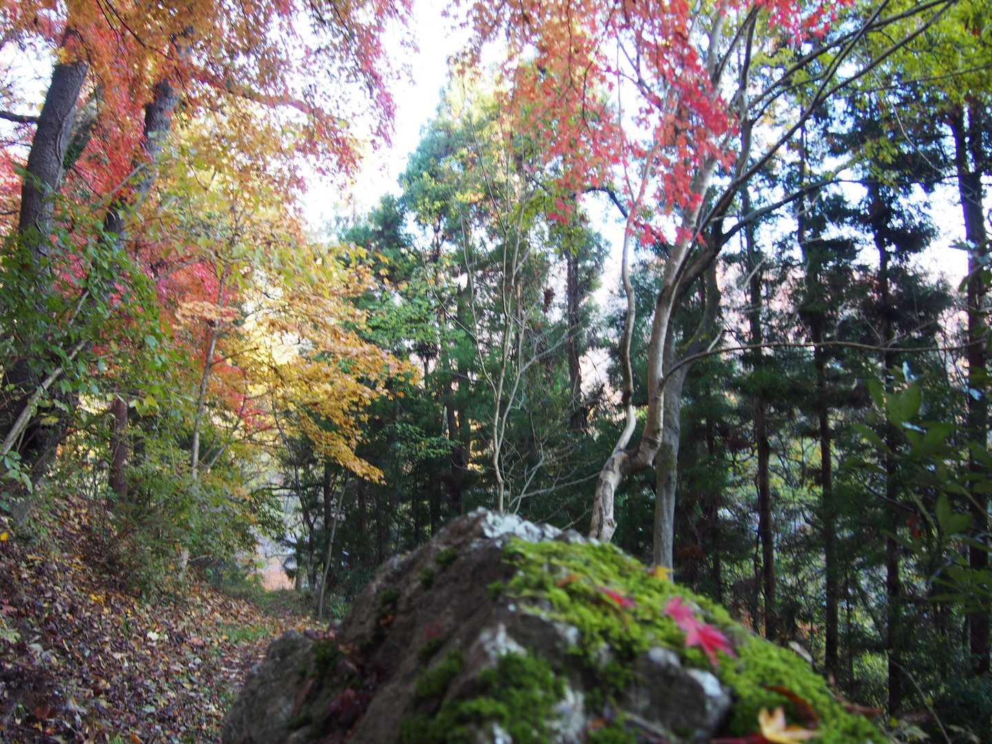 まだ陽が差さないので・・・