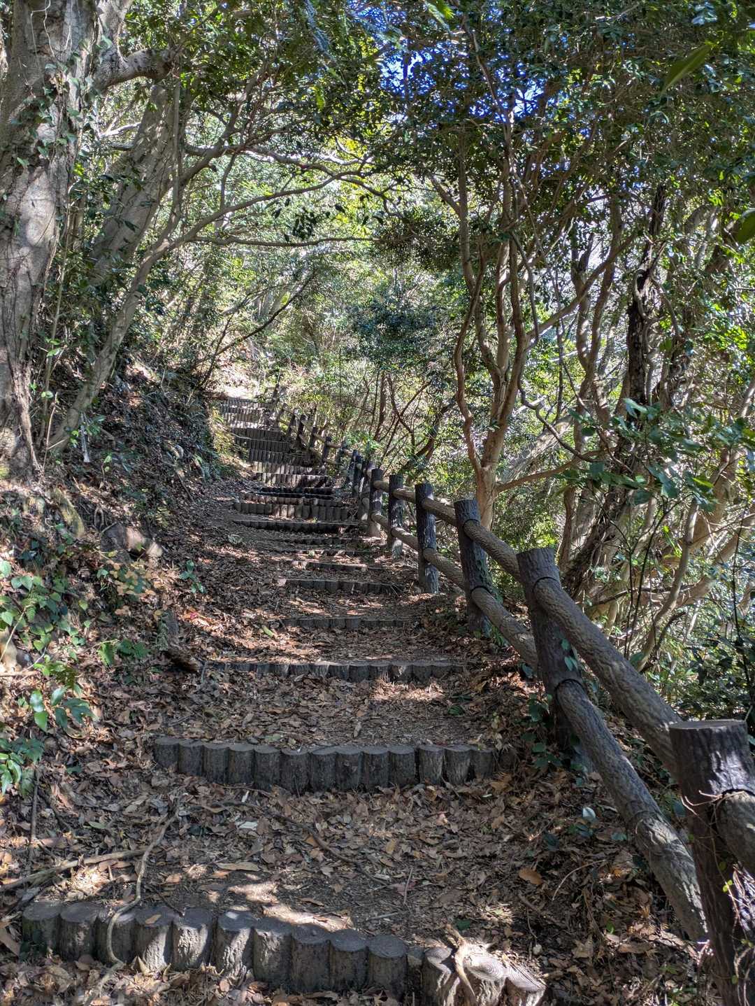 南峰から福満寺に向かうルートは階段続き🥲