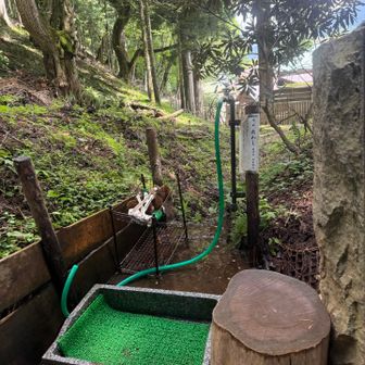 下山し靴洗い場ありました🙏
前日もその前も雨だったようで靴ドロドロ
洗い場ありがたいです