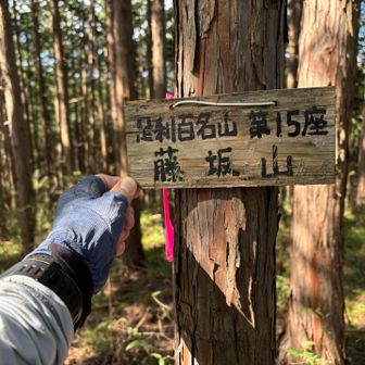 藤坂山到着…展望はありません