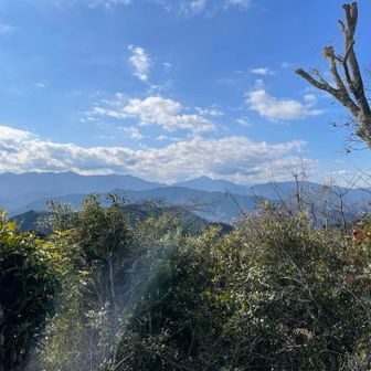 富士山見えず…