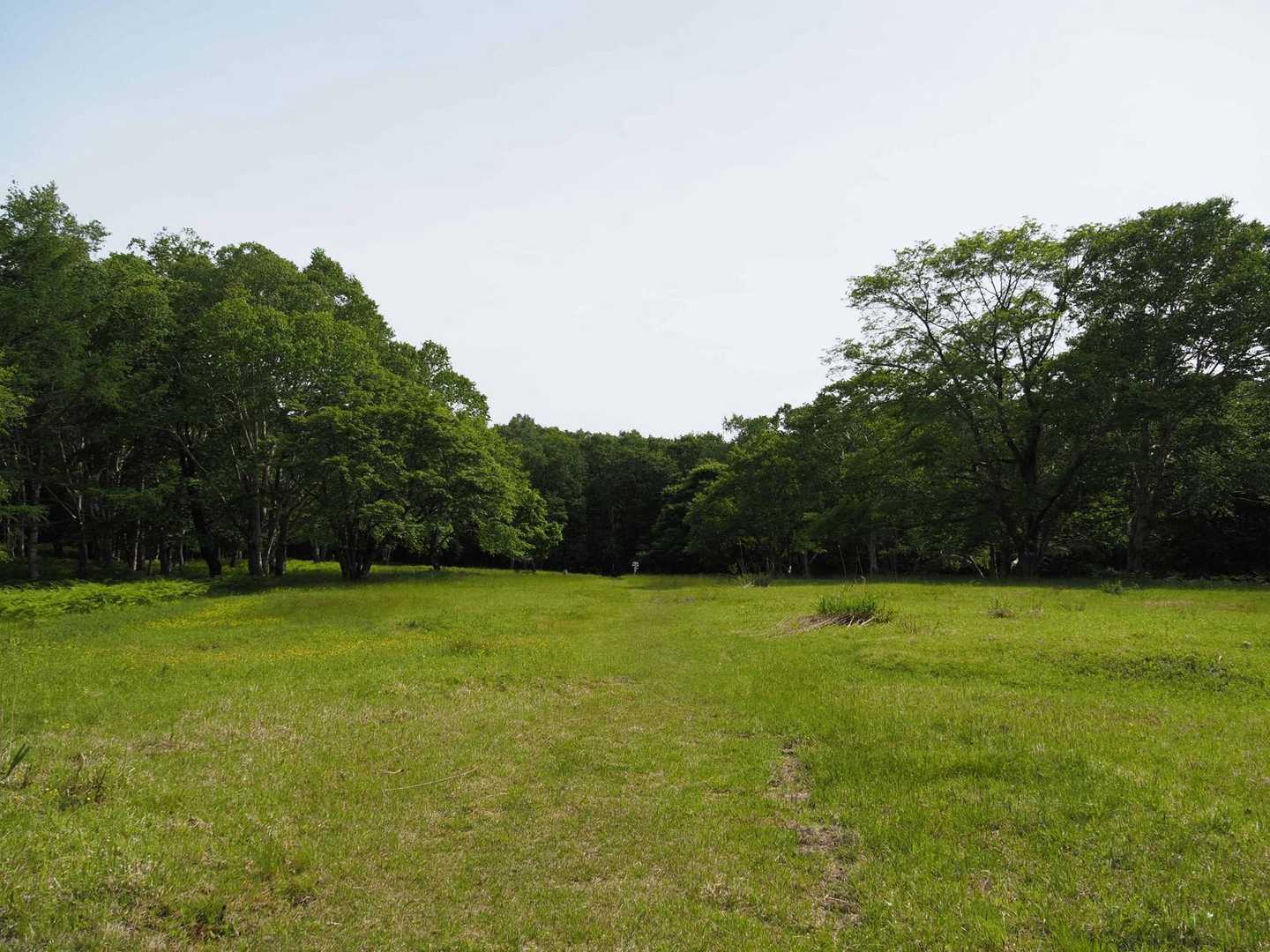 なんだか山を歩いている気がしないのですが…
馬っこ広場🐎となってます