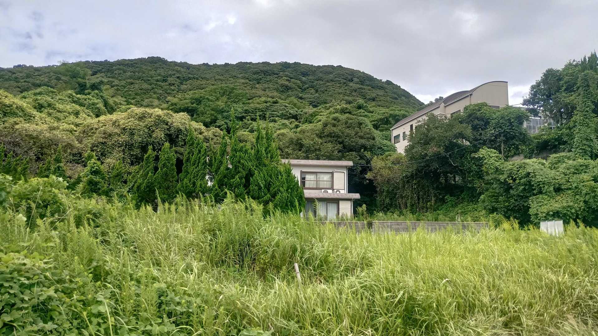 甲山 往復コースの写真