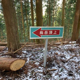 行きマース(*^^*ゞ