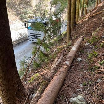 下山⛰️

ダンプの皆さん安全運転でした✨