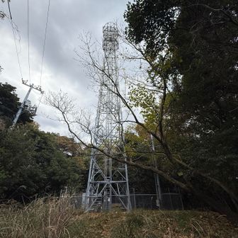 矢玉からは山中に進んで、15分ほどで堂山。