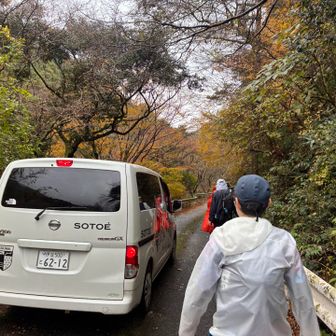DNF多すぎてエイド付近溢れかえる。
バス来たとしても一度での乗車困難。待機しても寒くなる一方だし、それなら待機時間分下まで歩けるなら歩いてほしいと誘導あり。4-5kmならゆるハイク。歩く。