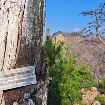 消えかけて読み難いけど中仙人ヶ岳