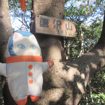 唐沢山