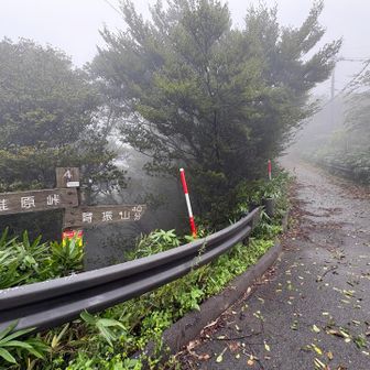 ピーク近くまで車で行けるようだ。
ガードレール一旦出てまた登山道へ。