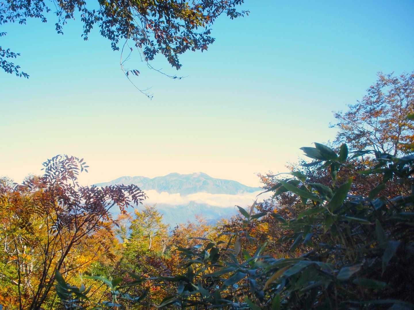 白山見えた！