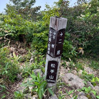 本日のラスト！松手山 🤙🫥
このあたりで、🪰🐝に追いかけられました😭
