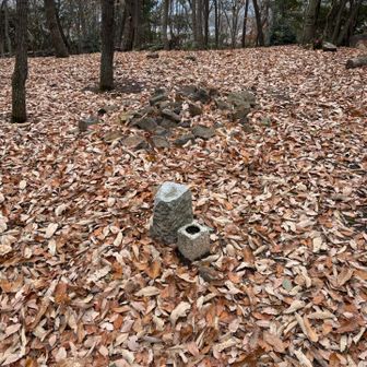 グレーピークの高森山も抑えました。