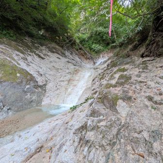 水の量が落ち着いていれば、
雰囲気はいい。