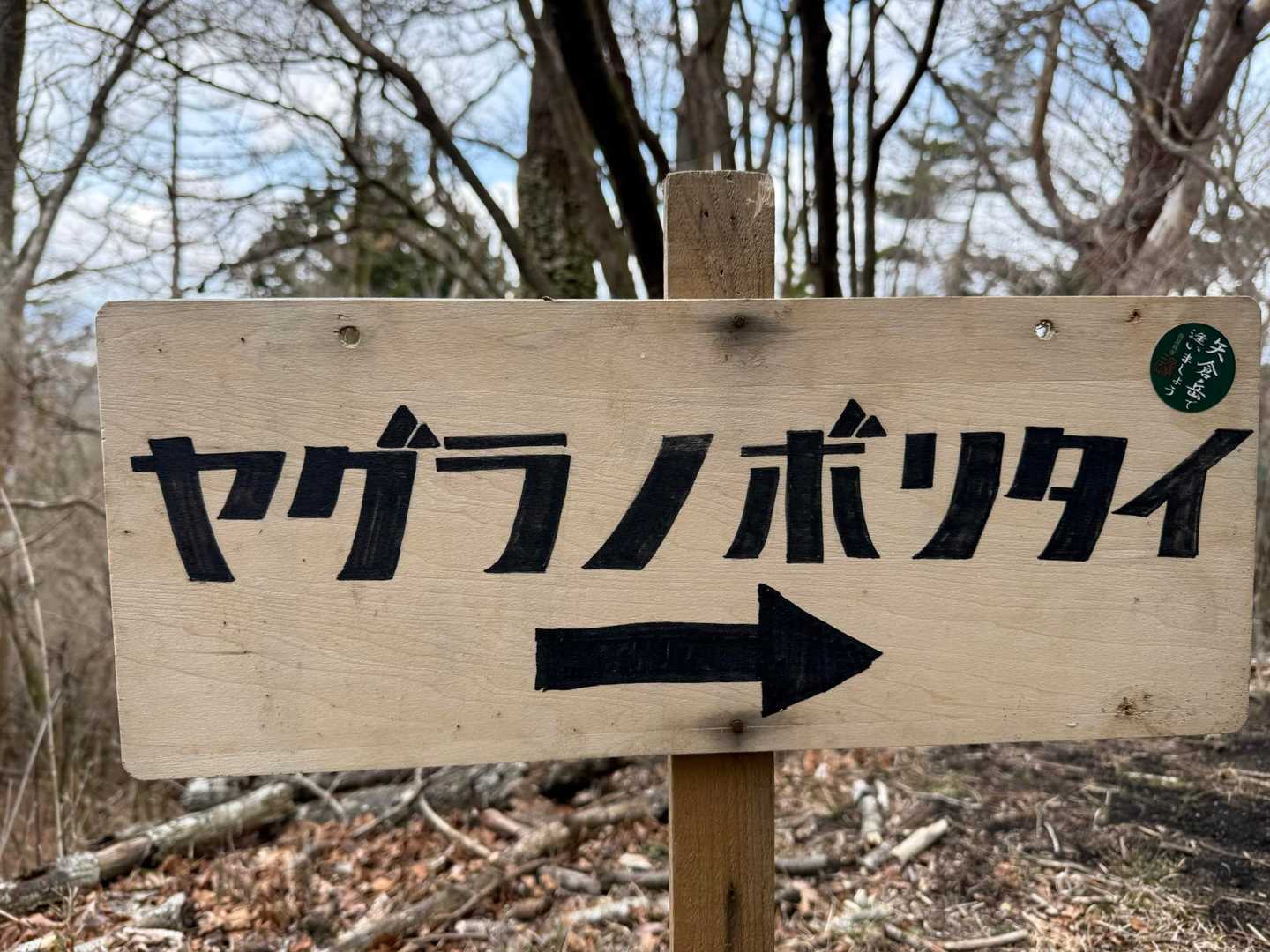 矢倉岳 | 富士山の壮大な姿を仰ぐ、新緑と秋の紅葉に包まれる静かな周回ルートの写真