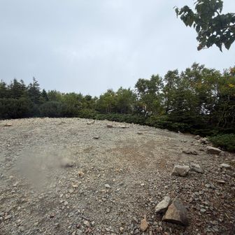 テントの跡がいくつもありました。いーのか？と思ったけどビバークなら致し方なしですね。(水場こそないけど好立地、少し羨ましい😉)