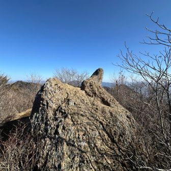 鬼の角😈（勝手に言ってみただけ〜🤪）