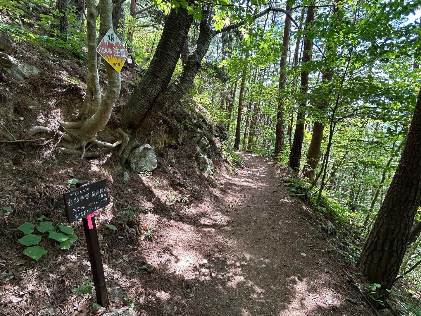 自然歩道最高地点を通過。