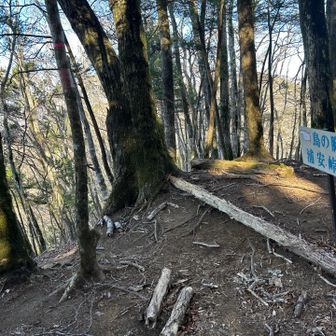 平指山　山頂名まさかのガムテープにマジック書き！