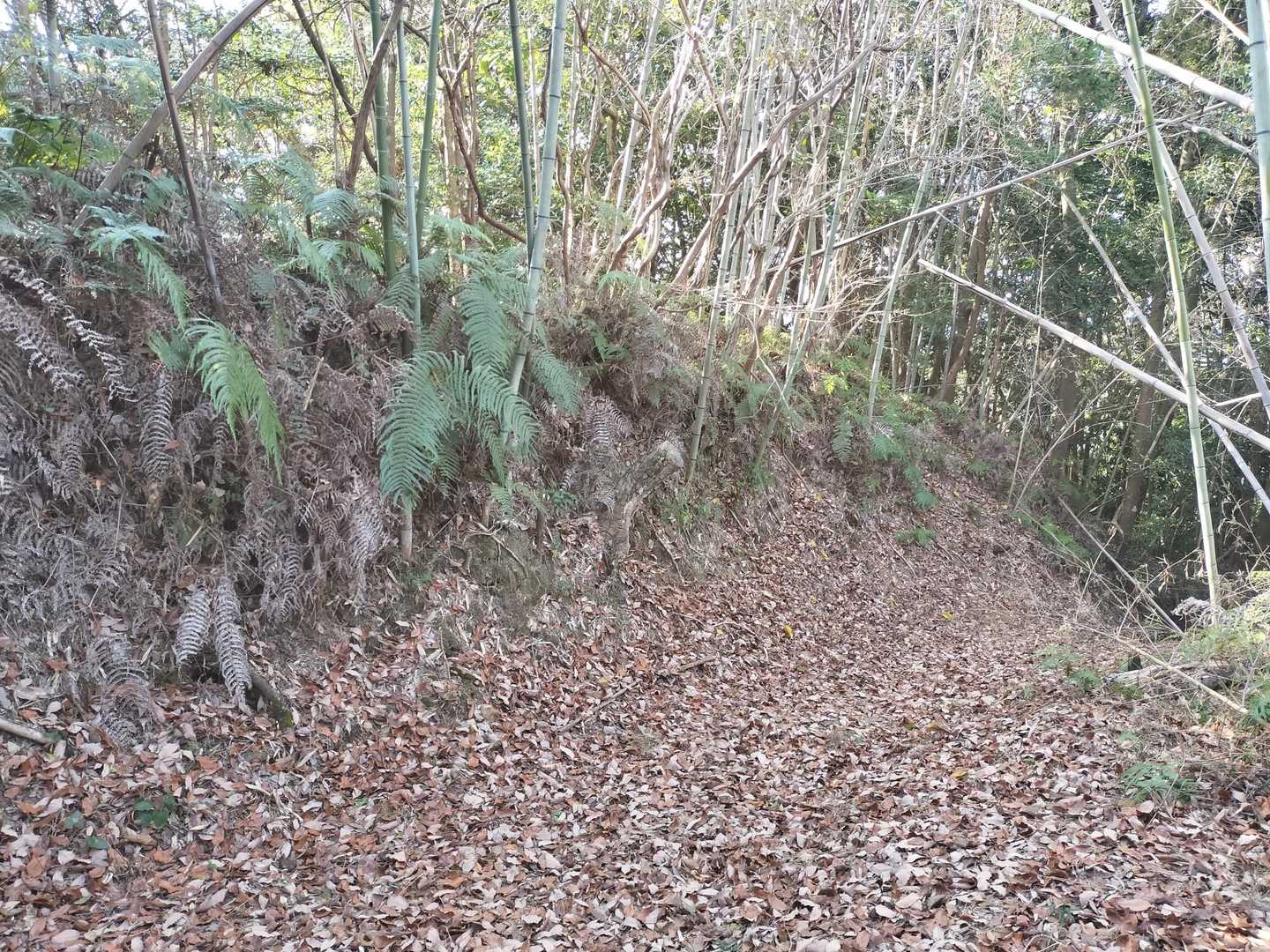 これの事か？