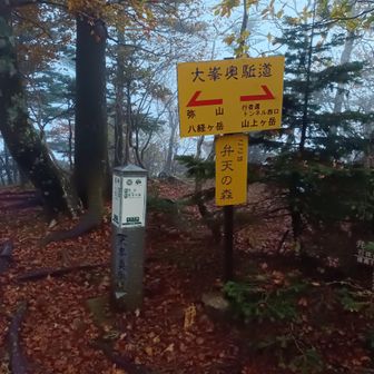 ここまでが急登。帰りは激下りです。