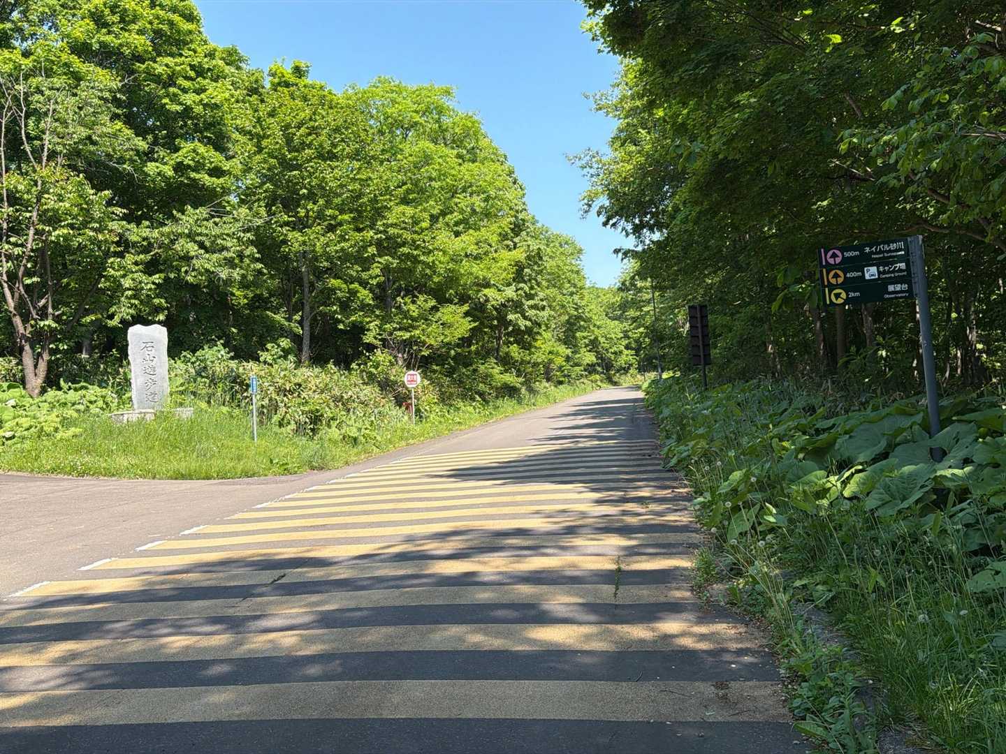 道路に出て 反対の道に進むよ～