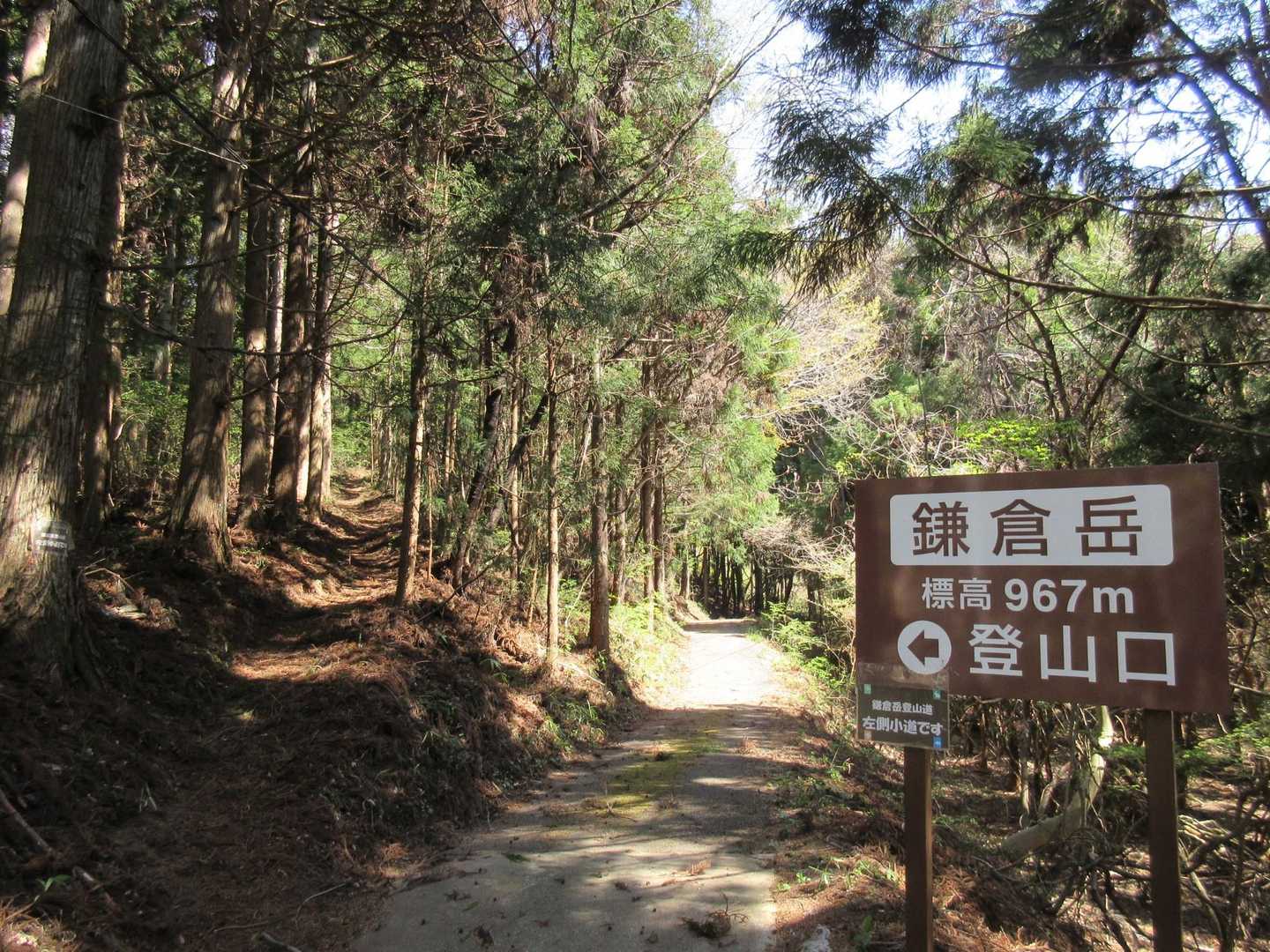 鎌倉岳 往復コースの写真