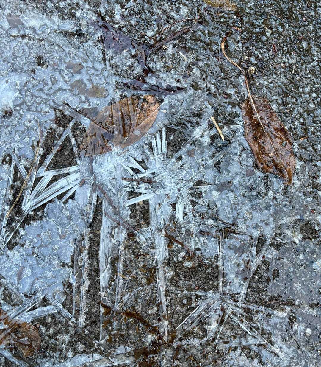車道に張った氷

ツルツルしていて歩きにくかった