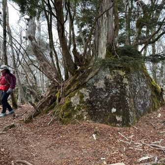 毛無山山頂はこの岩🪨の上に看板
