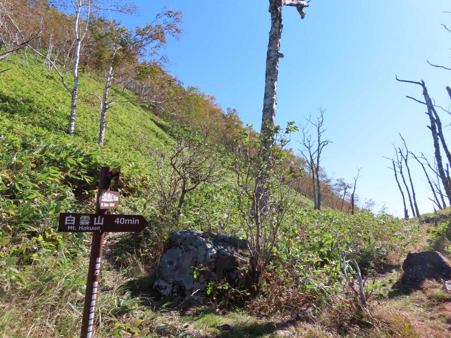 白雲山にもお邪魔します⛰️