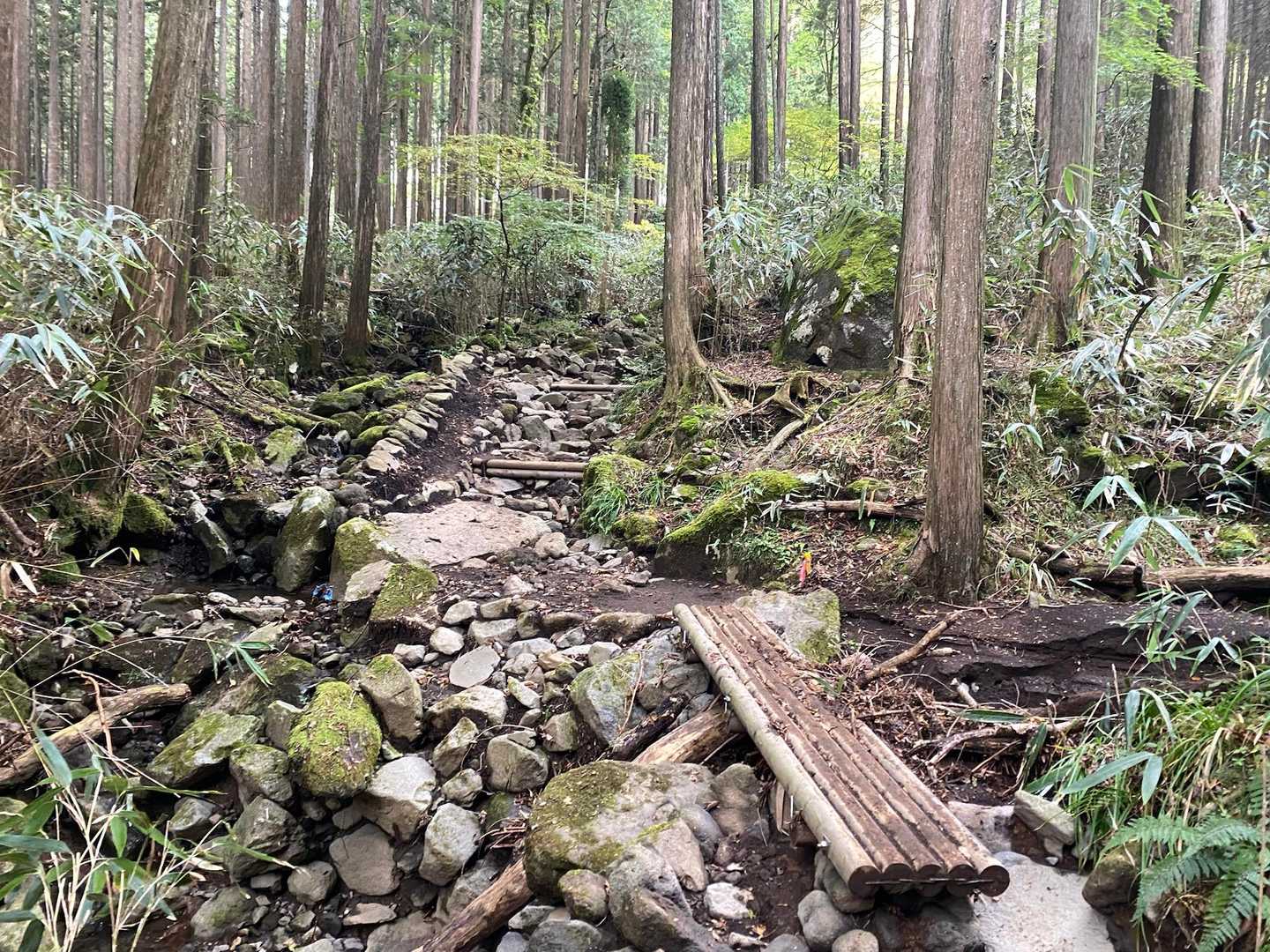 金時神社入口バス停-金時山 往復コースの写真