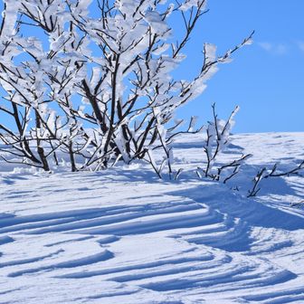 鳥海山・七高山・笙ヶ岳 綺麗すぎる😍
