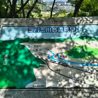 淀川三川合流羨望…は木が成長してハッキリと見えませんでした😅