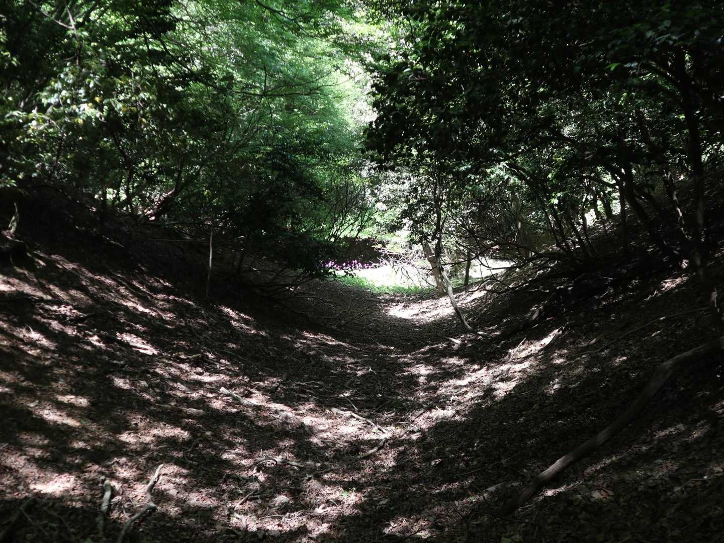 御嶽道登山口-御嶽-小金ヶ嶽 周回コースの写真