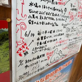 でえすけ参上❗️
書いちゃった🤣