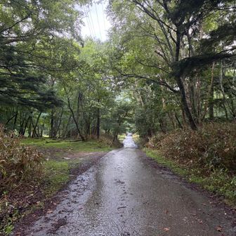 駐車場🅿️に戻ります🚶‍♂️‍➡️