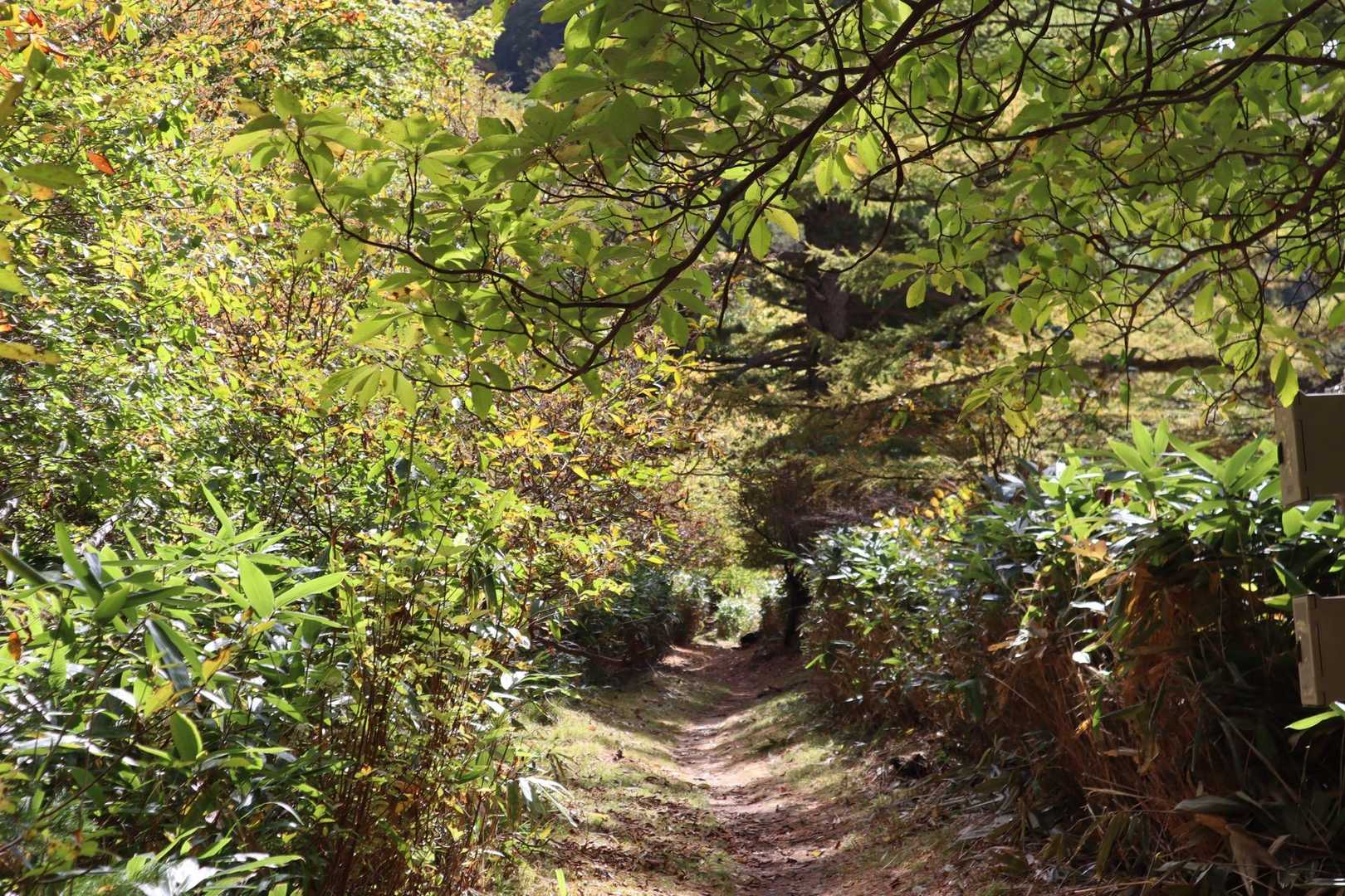 北アルプス裏銀座登山口-前烏帽子岳-烏帽子岳-野口五郎岳- 周回コースの写真