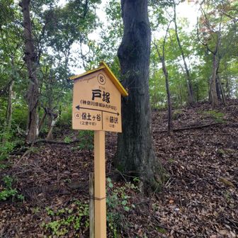 これいくつあるんだろう
