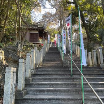 階段が続きます